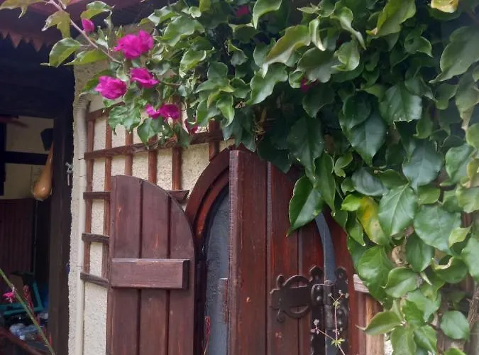 Casa vacanze Sunday 2br Welcome Private House In Chalkidiki - Close To Karydi *
